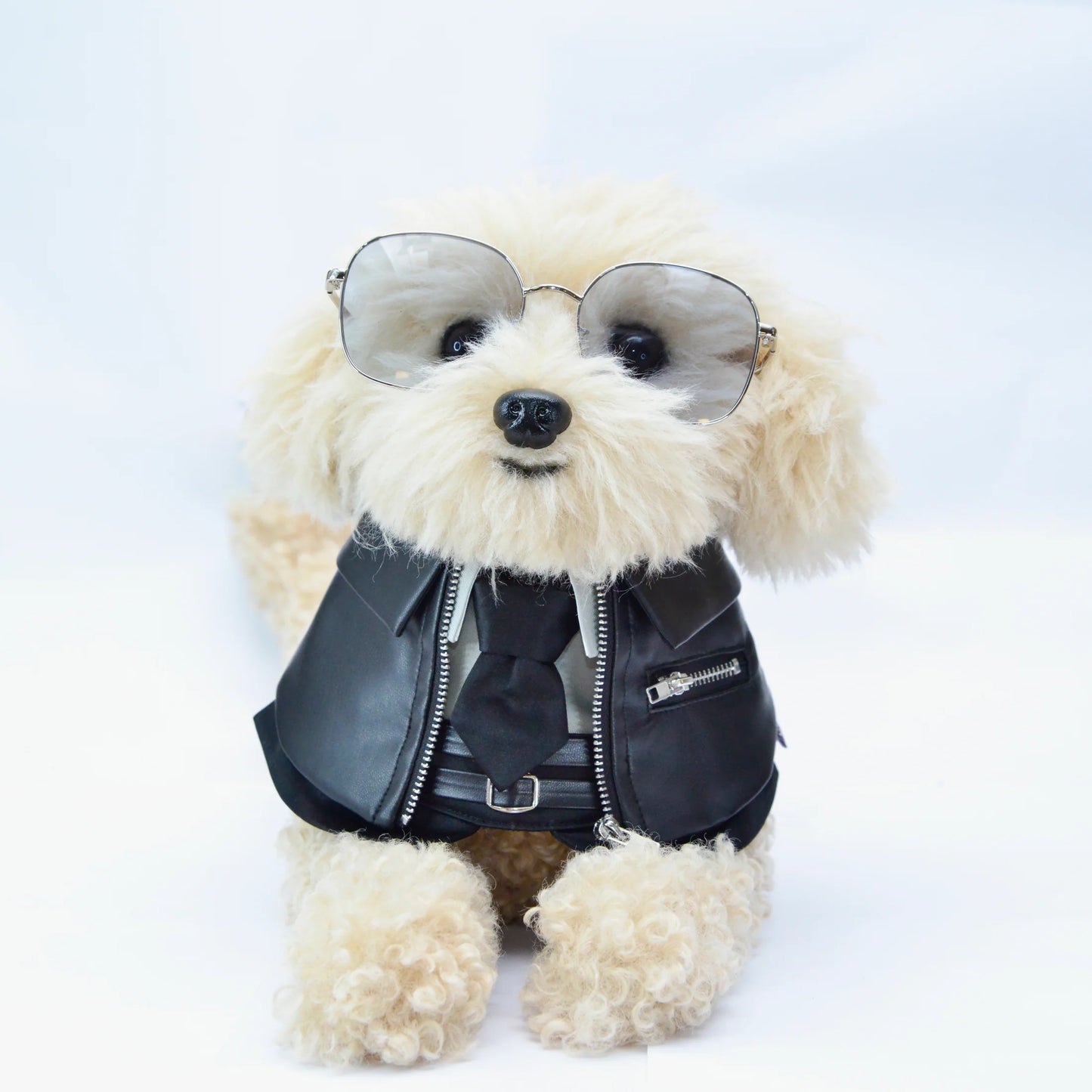 Shin (信一) | Pet Bib