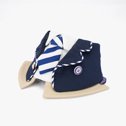 The Hairs Boy | Pet Bib (pre-order item)