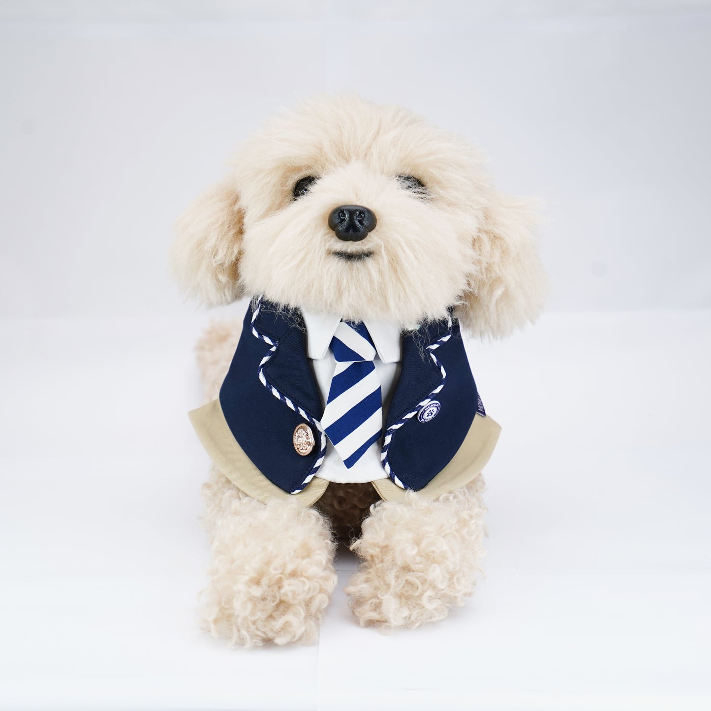 The Hairs Boy | Pet Bib (pre-order item)