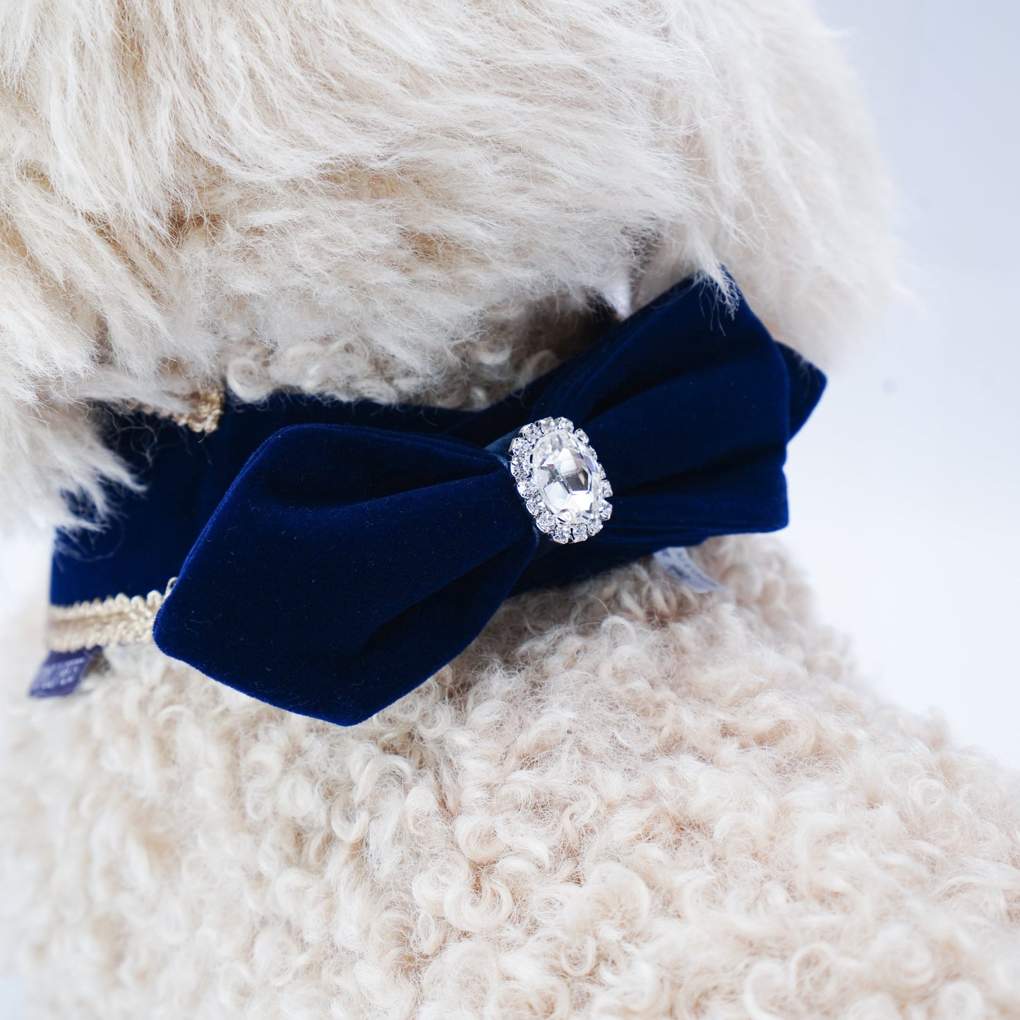 Starry Night Lux | Pet Christmas Neckwear