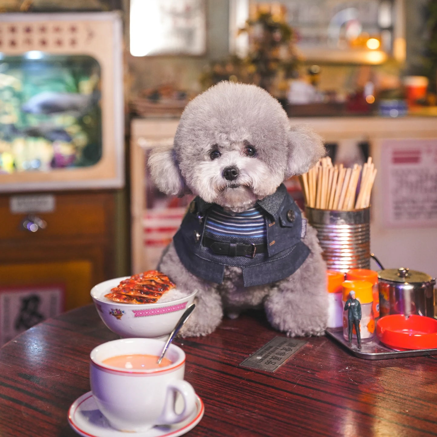 Lok-kwan B (洛軍) | Pet Bib