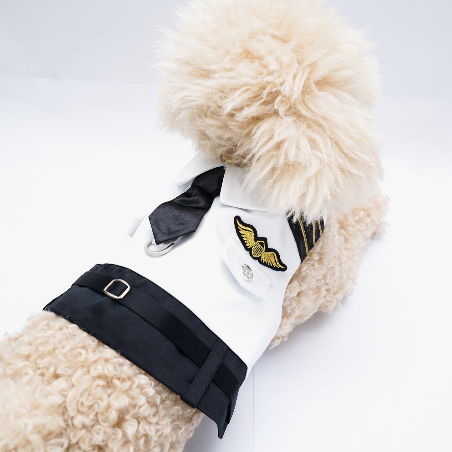 Coolmore | Pet Vest (made-to-order item)