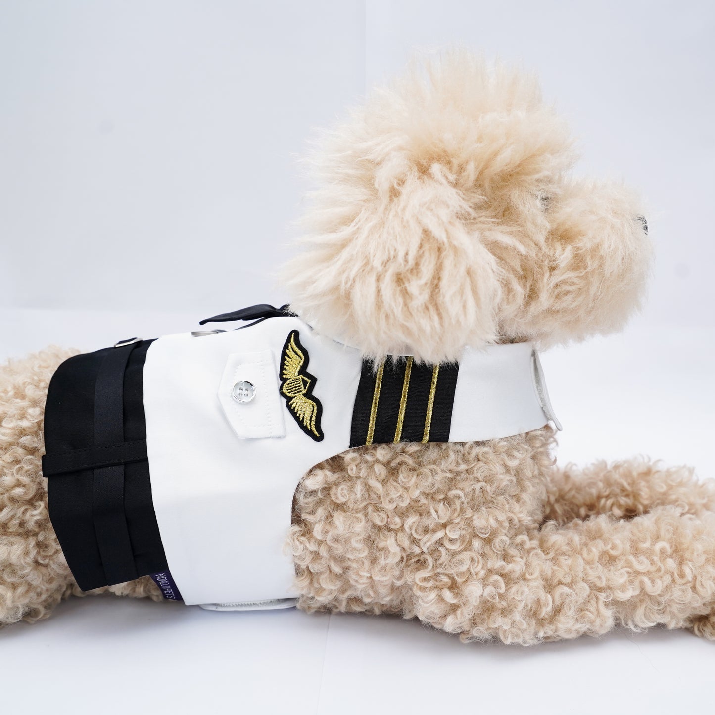 Coolmore | Pet Vest (made-to-order item)