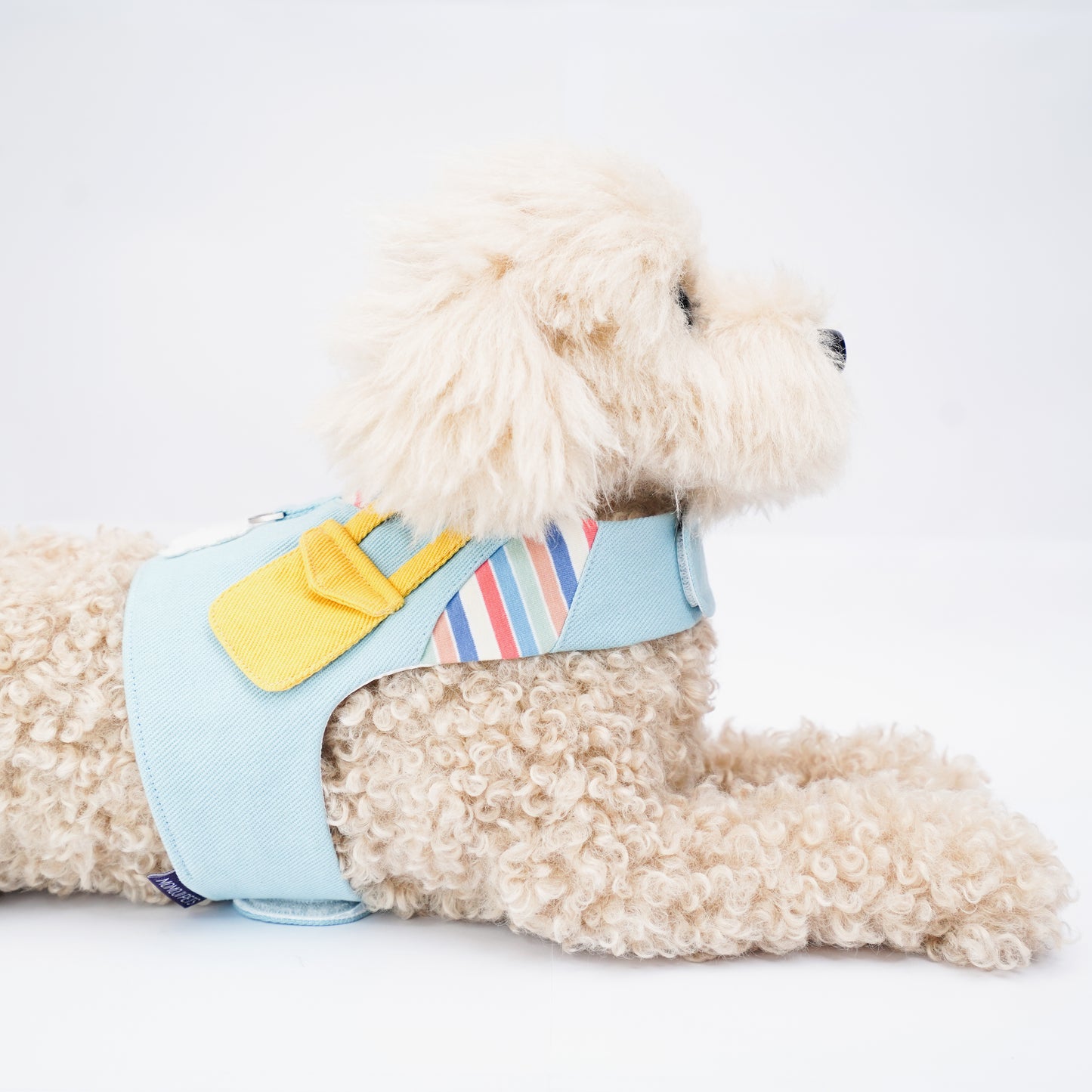Momoji Bear Boy | Pet Vest (made-to-order item)