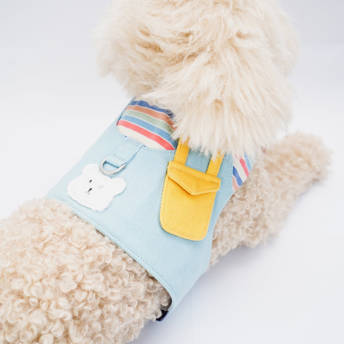 Momoji Bear Boy | Pet Vest (made-to-order item)