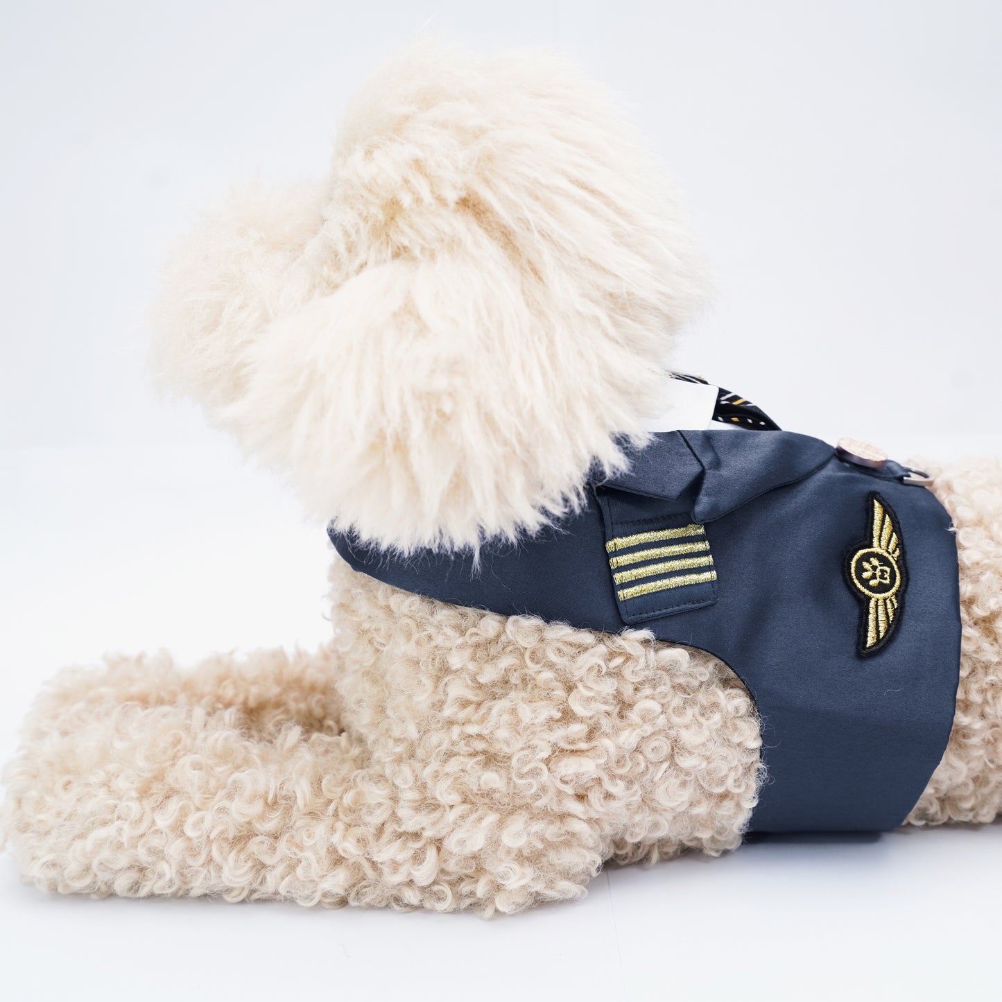 Coolmore II | Pet Vest (made-to-order item)