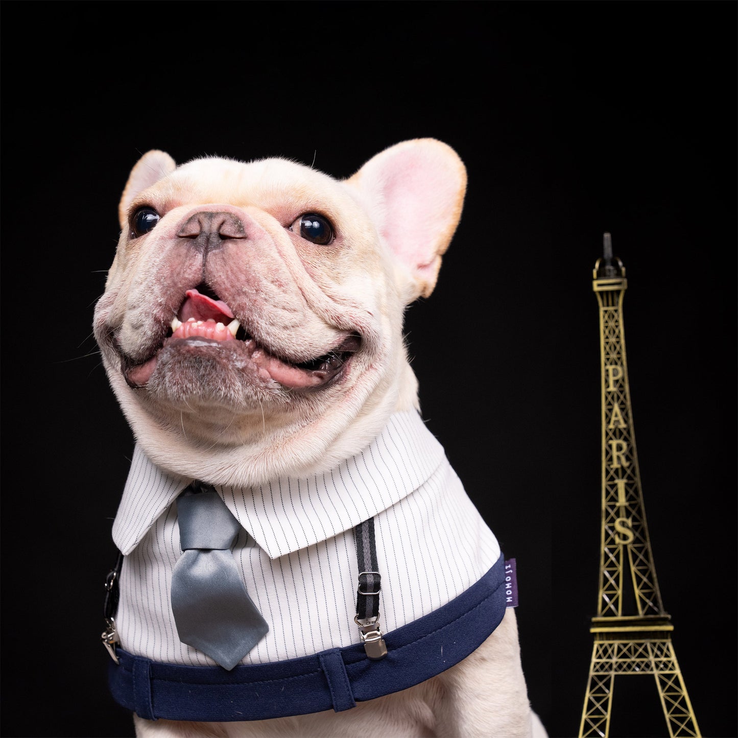 George (Big Sizes)