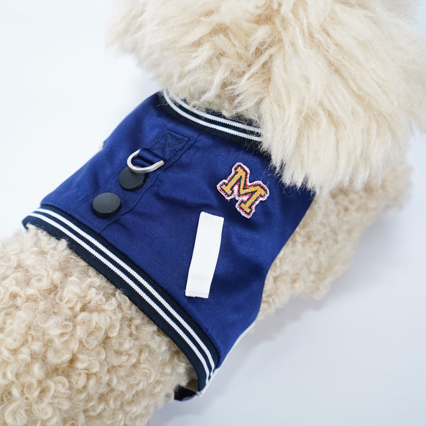 Basepaws | Pet Vest (made-to-order item)