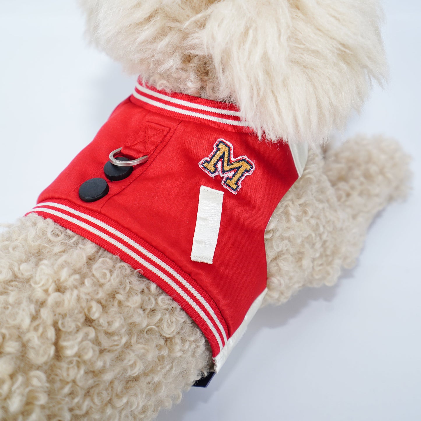 Basepaws | Pet Vest (made-to-order item)
