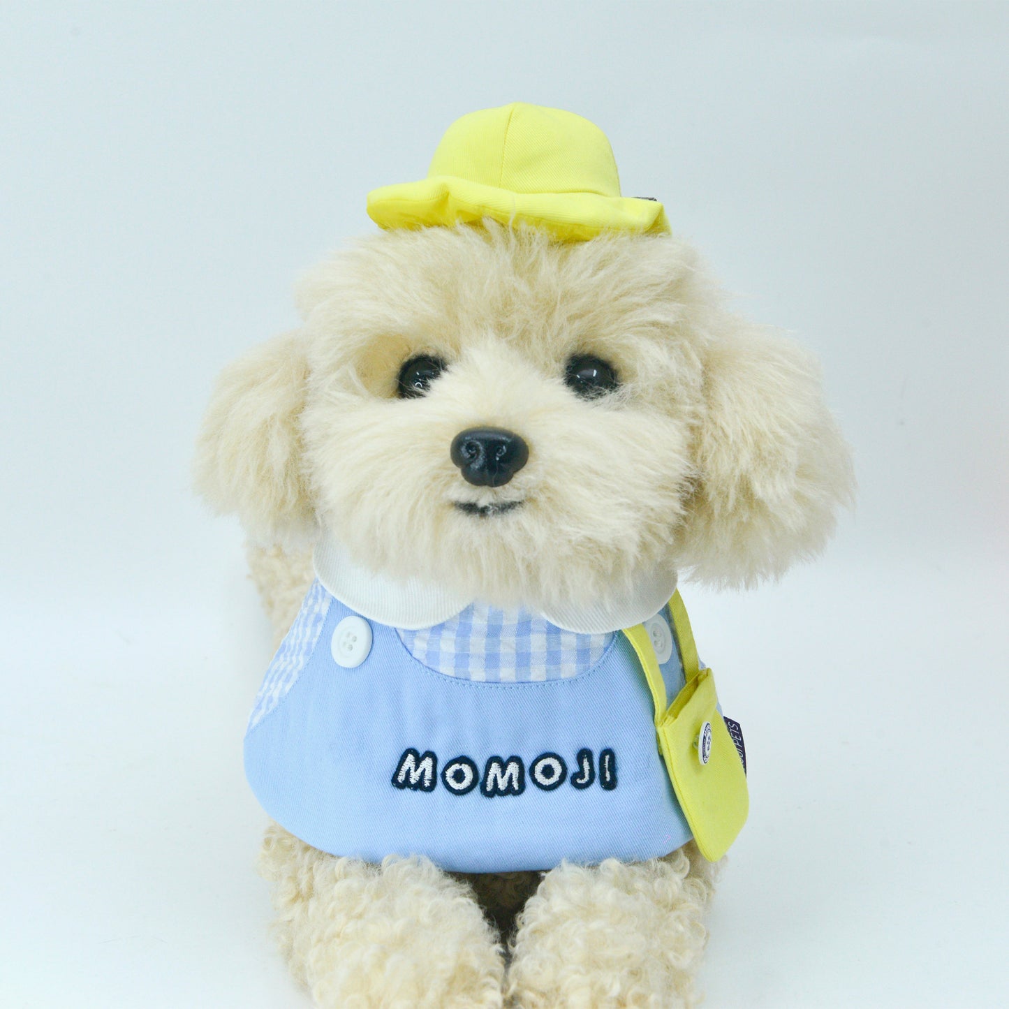 (Personalisation) Momoji Kindergarten Boys | Pet Bib