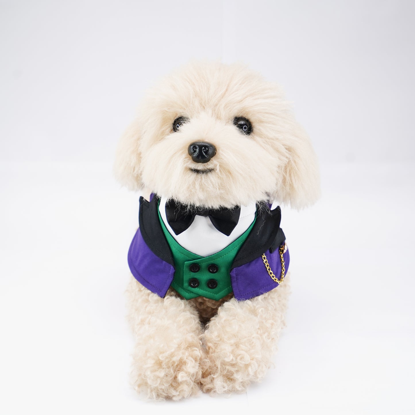 Jack | Pet Bib (pre-order item)