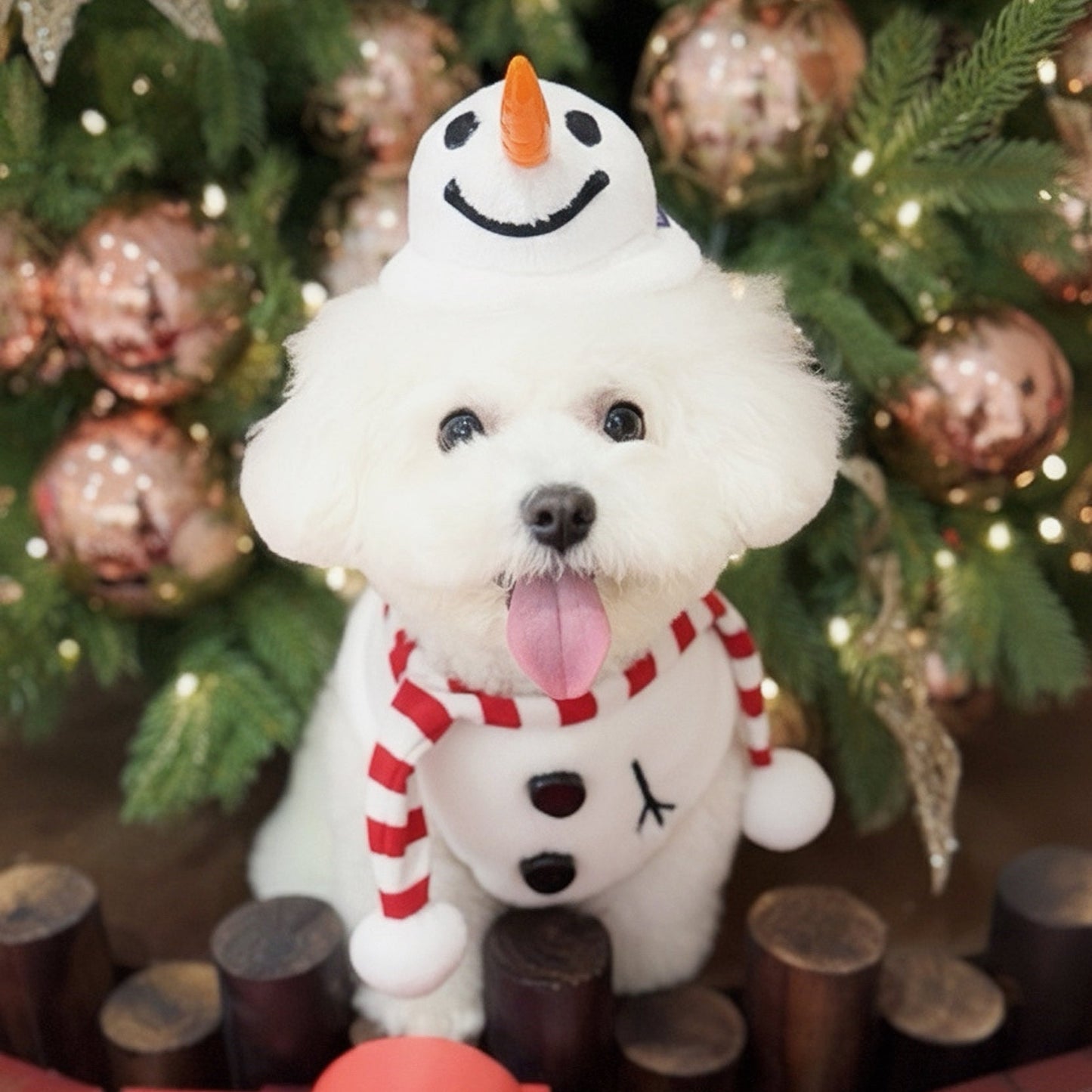 Momosnow | Pet Christmas Neckwear