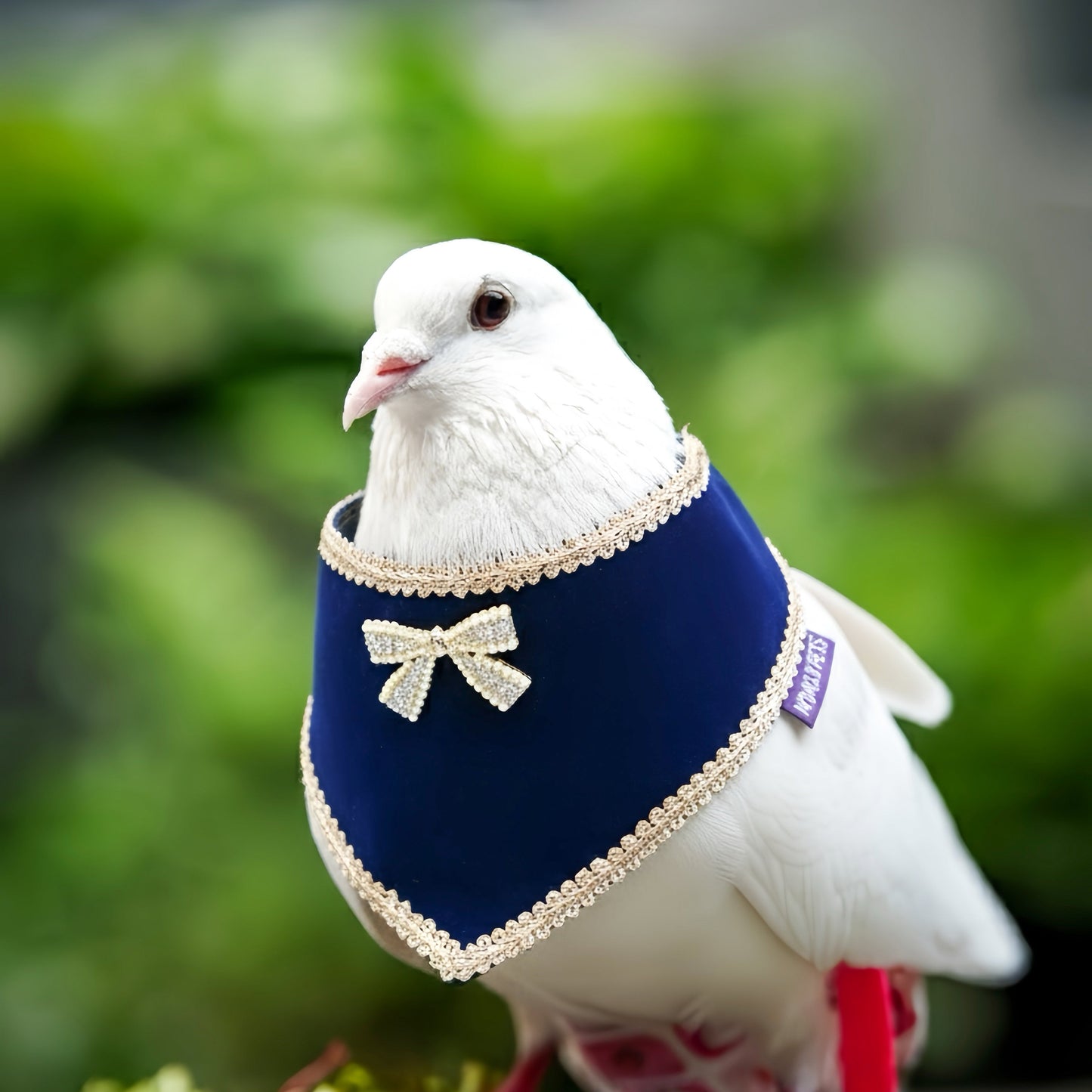 Starry Night Lux | Pet Christmas Neckwear