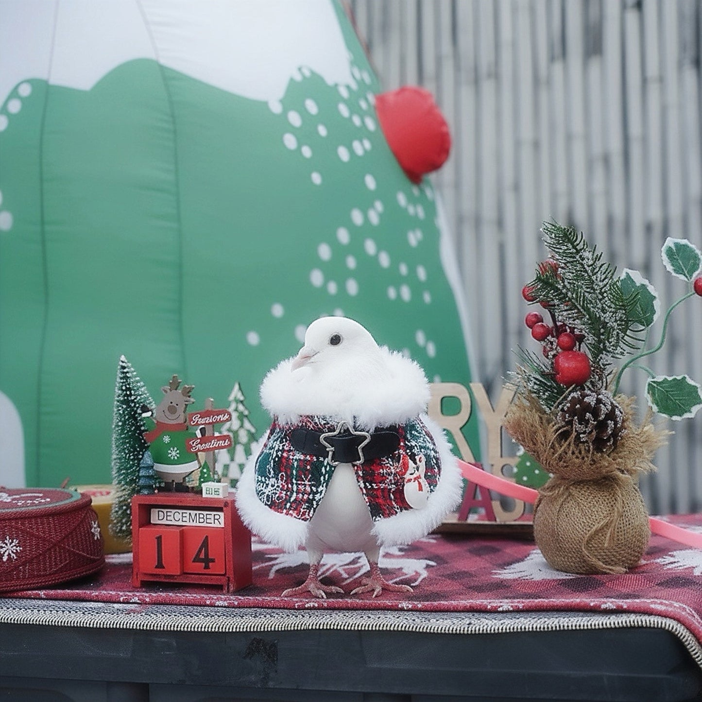 Jordan | Pet Christmas Neckwear