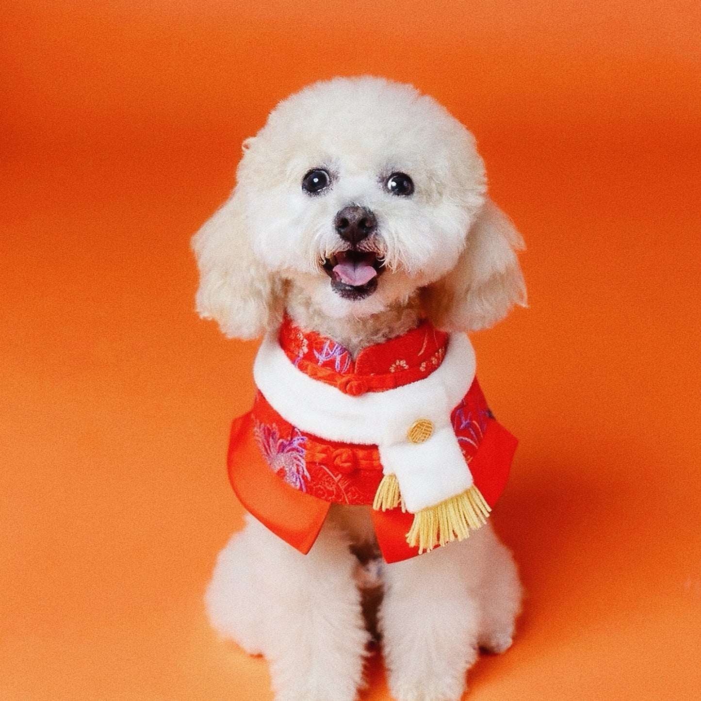 (Reserve Now, Ship Later) Valor