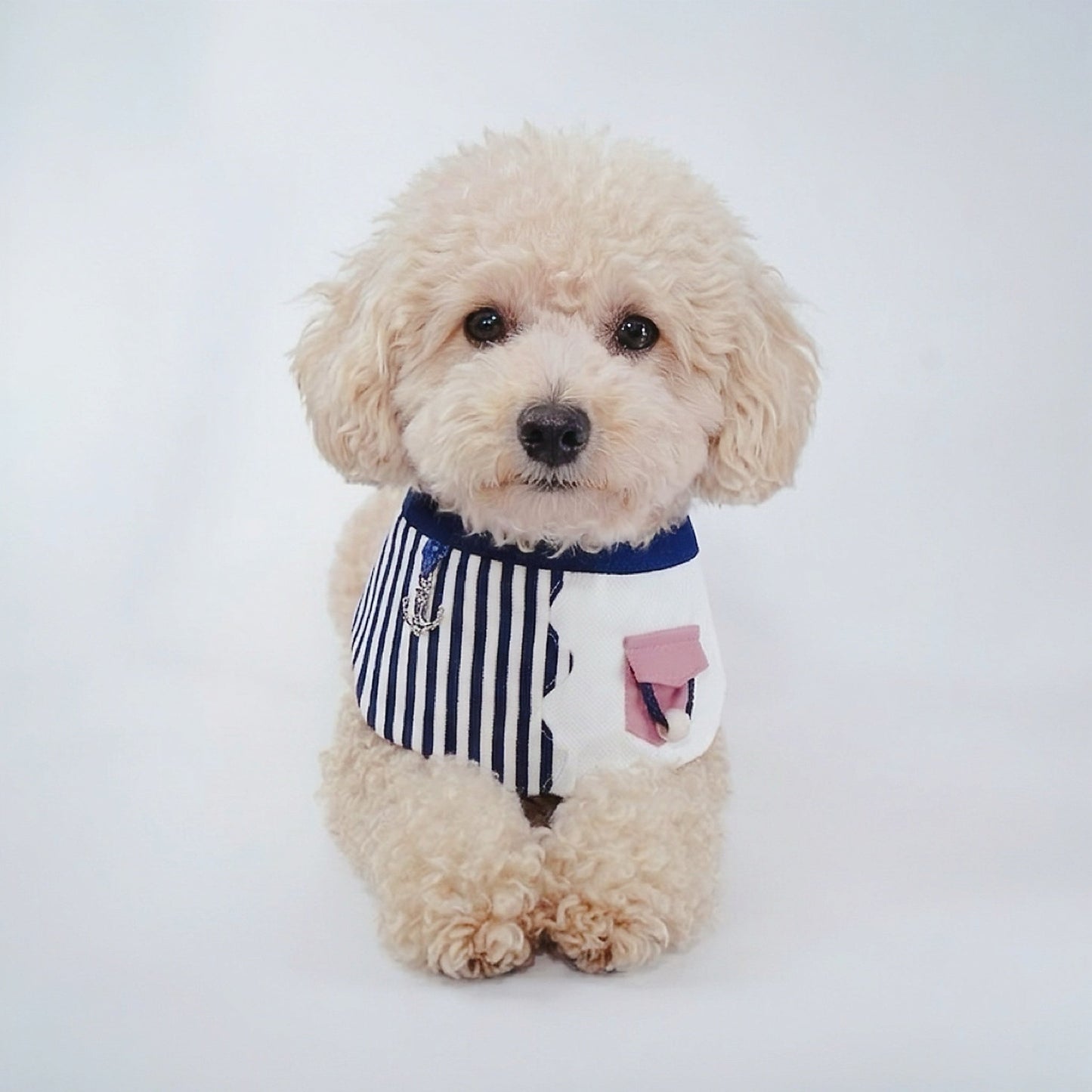 Marseille (1-Breton Stripe Navy) | Pet Neckwear