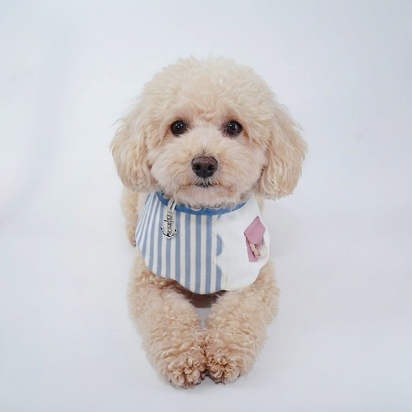 Marseille (2-Breton Stripe Moonstone) | Pet Neckwear