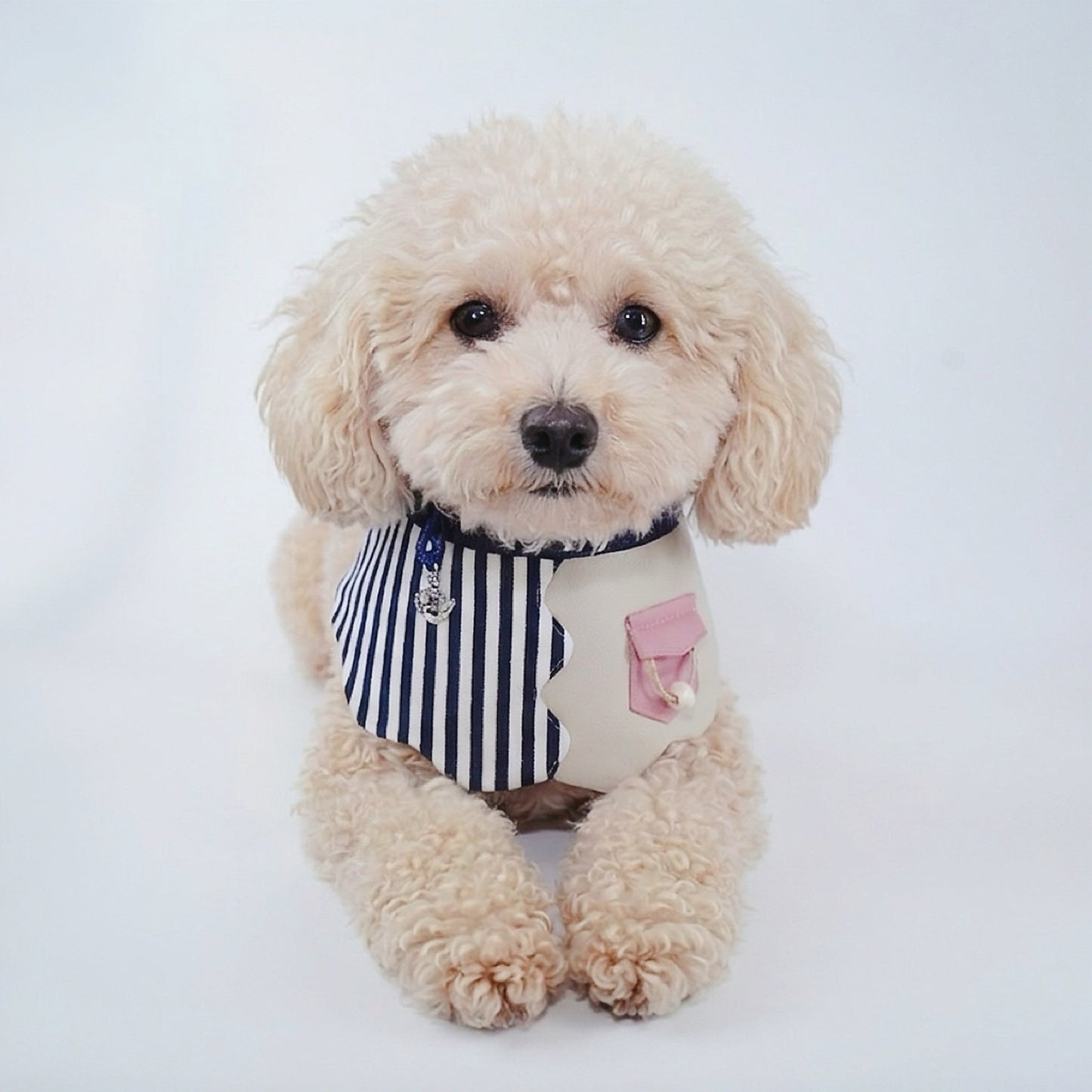 Marseille (3-Breton Seashell) | Pet Neckwear