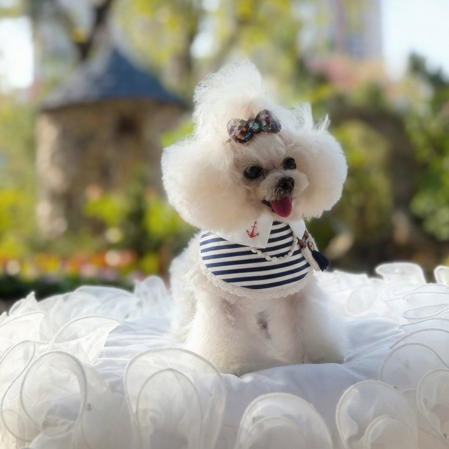 Deauville | Pet Neckwear