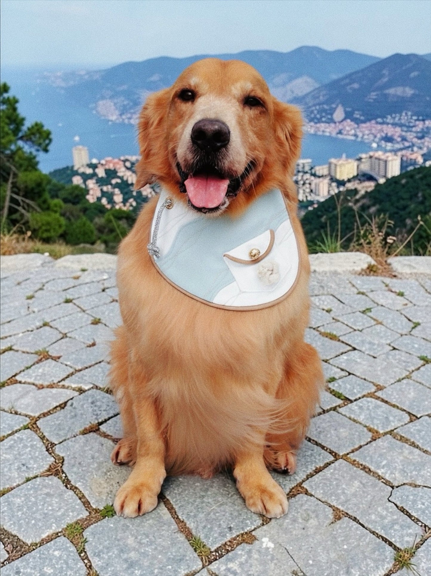 Antibes (1-Azure Mist) | Pet Neckwear