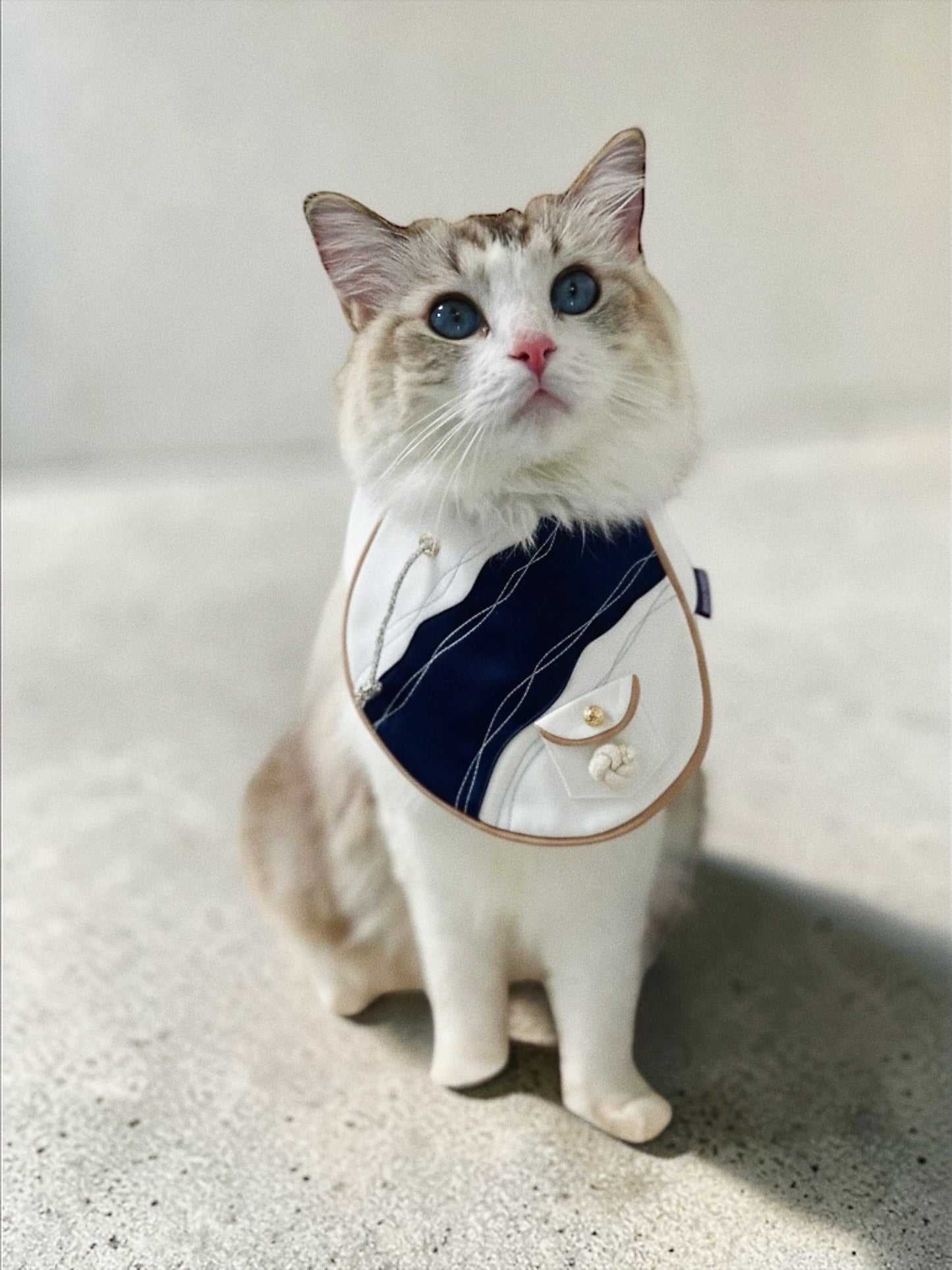 Antibes (2-French Riviera Blue) | Pet Neckwear