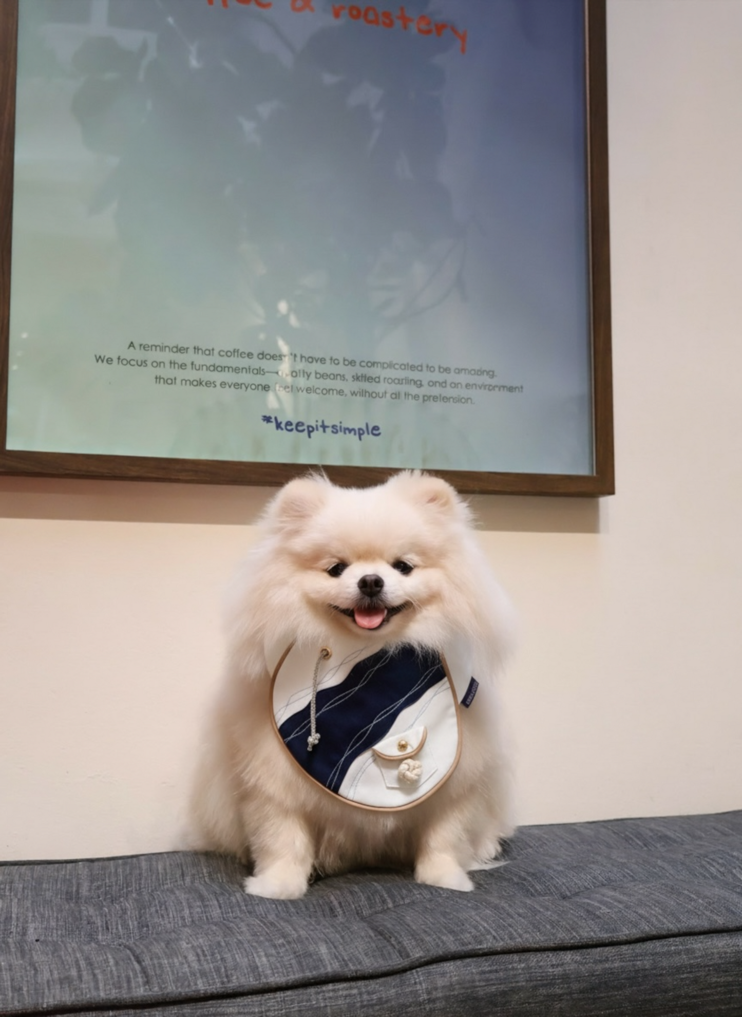 Antibes (2-French Riviera Blue) | Pet Neckwear