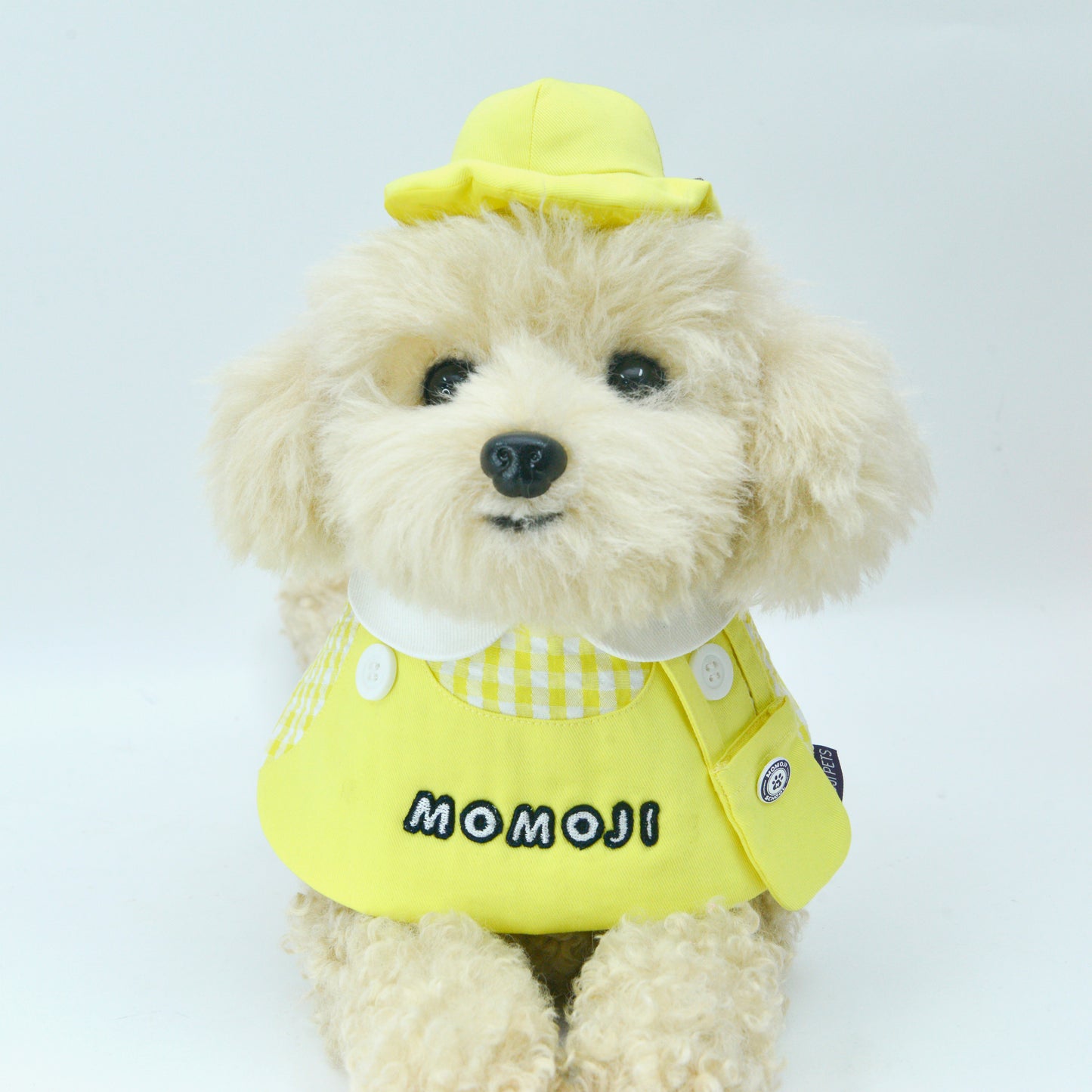 Momoji Kindergarten Hat | Pet Hat