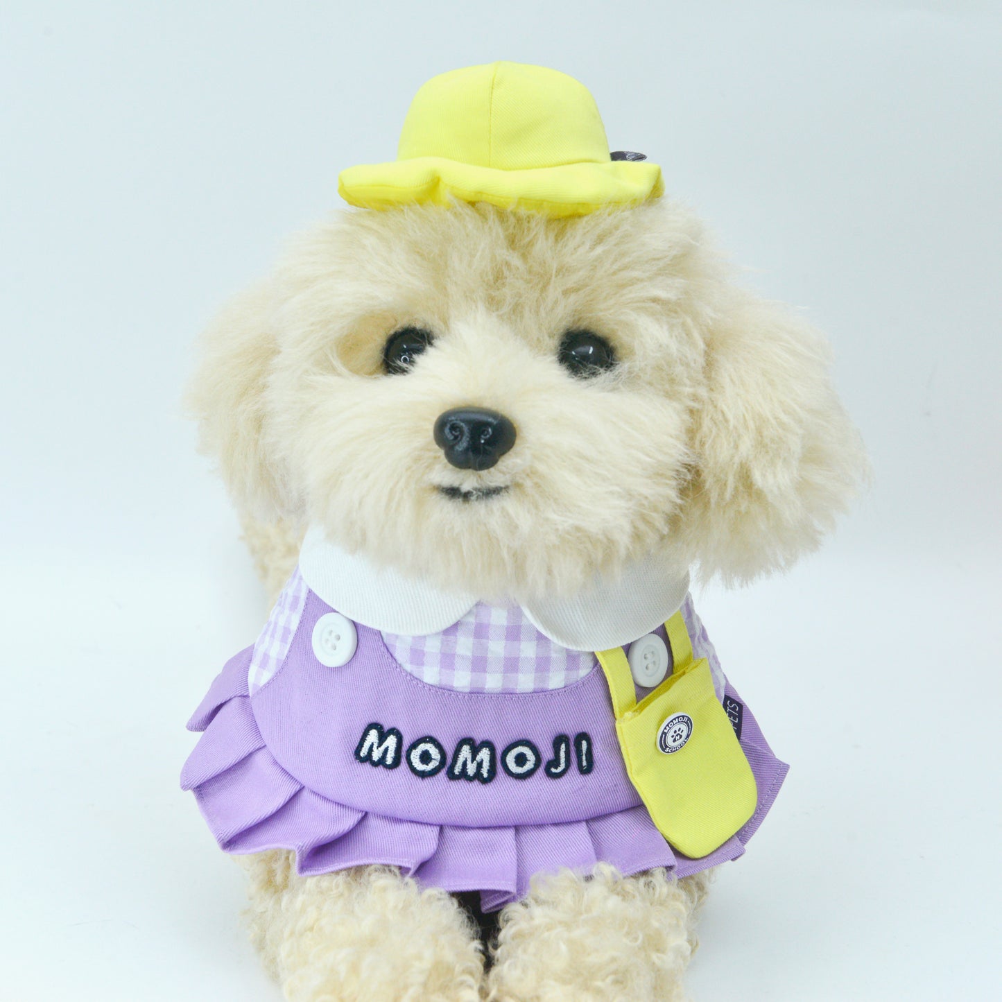 Momoji Kindergarten Hat | Pet Hat