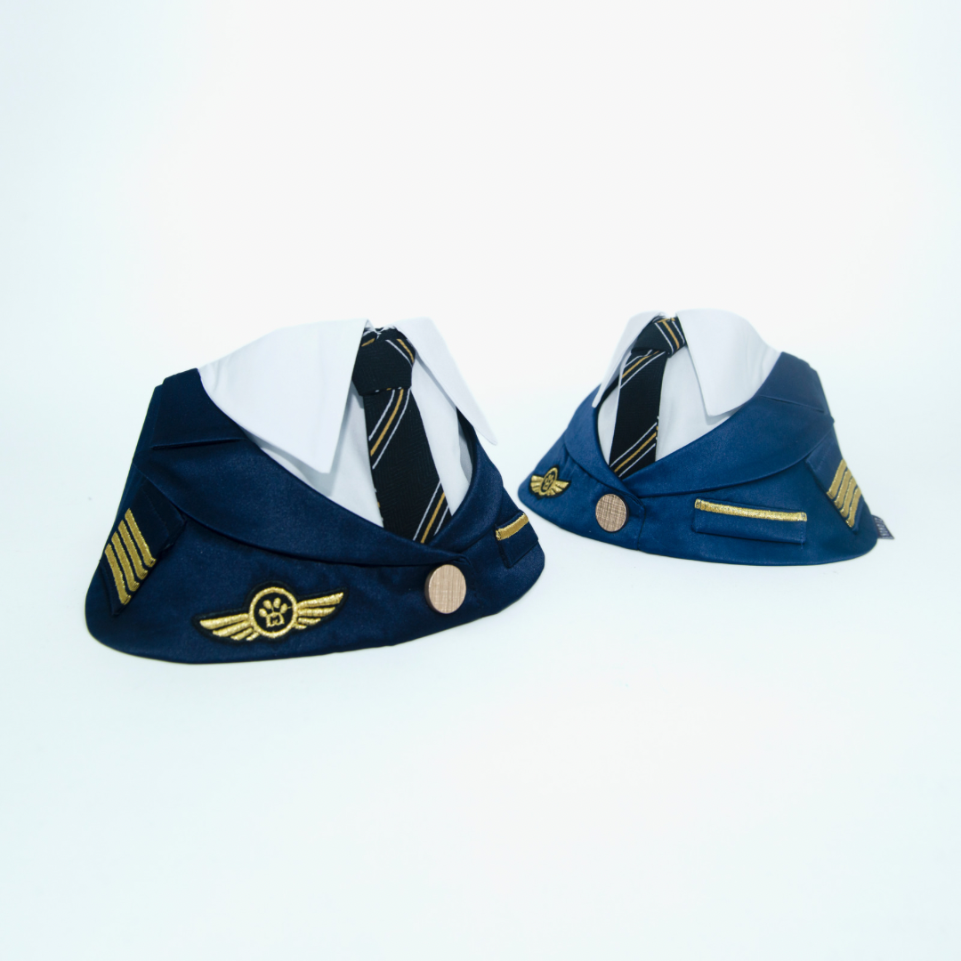 [PRE-ORDER] Momoji Air Pilot (02-Royal Blue) (8362525131032)