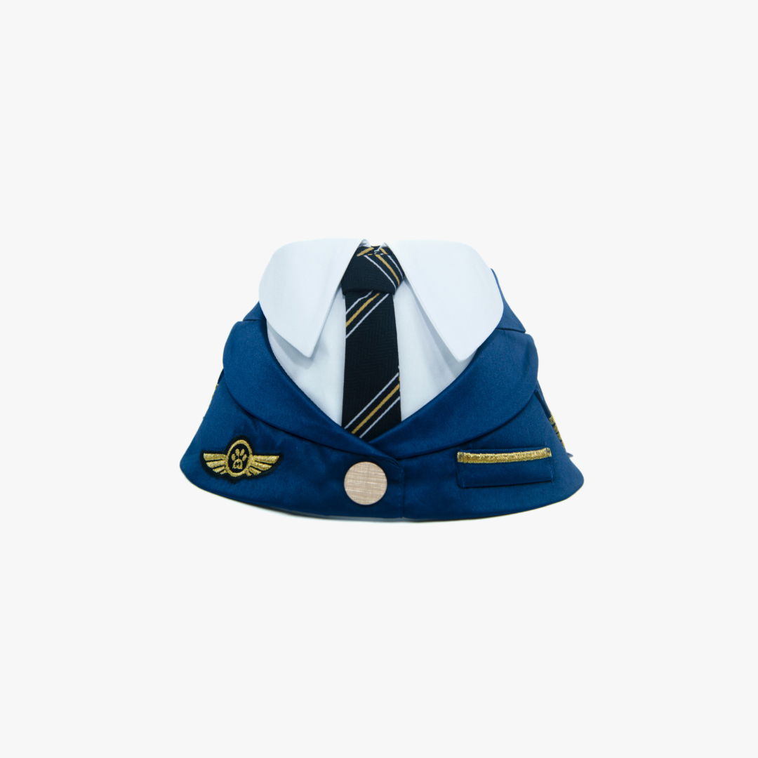 [PRE-ORDER] Momoji Air Pilot (02-Royal Blue) (8362525131032)