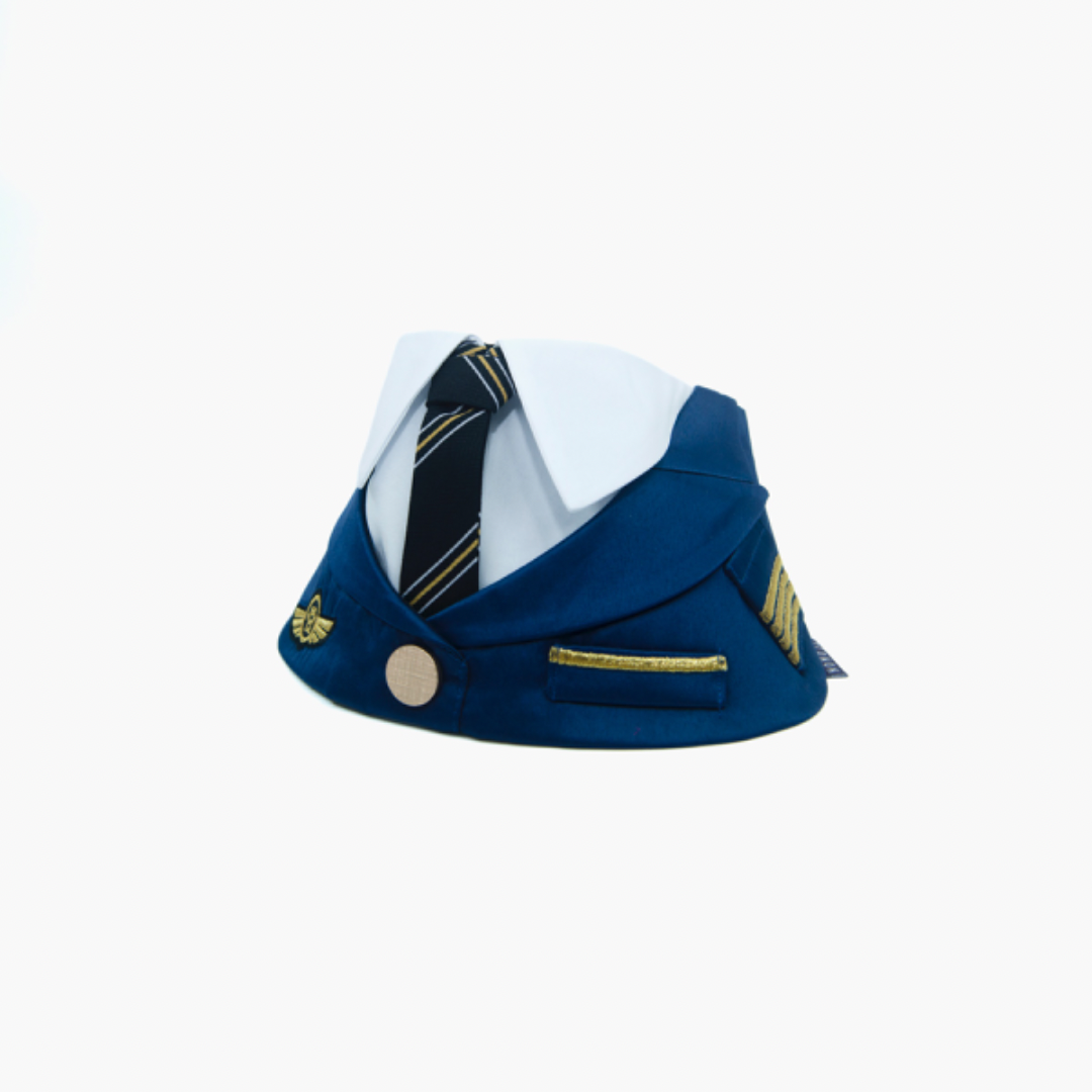 [PRE-ORDER] Momoji Air Pilot (02-Royal Blue) (8362525131032)